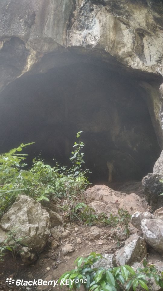 Bat Cave (Pasak Ngam)