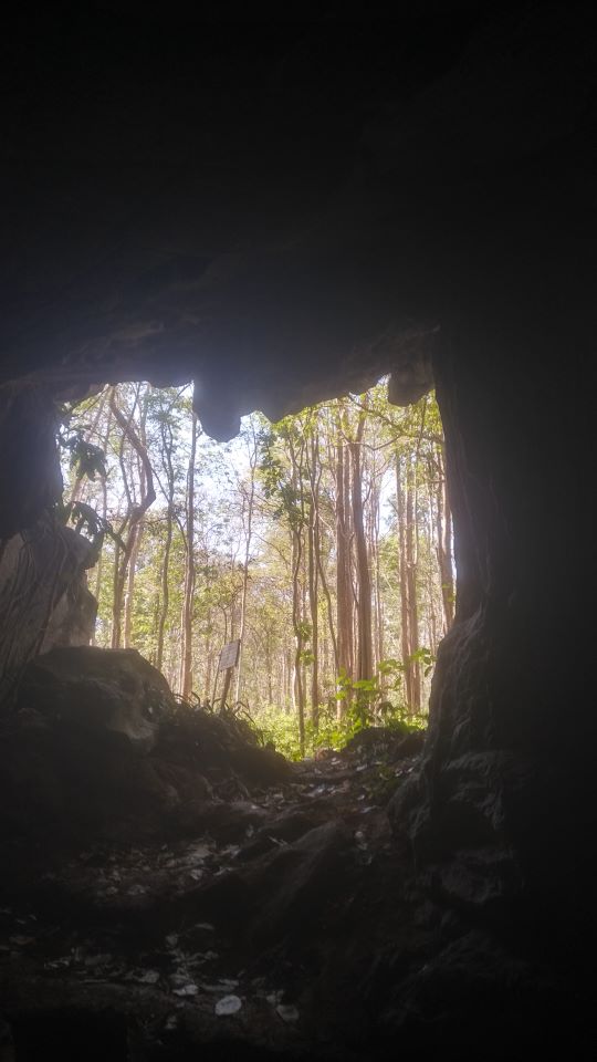 Stalagmite Cave